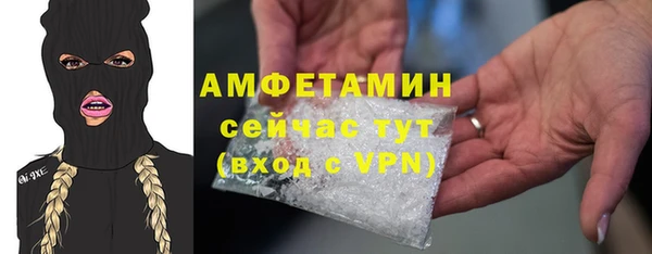 твердый Арсеньев