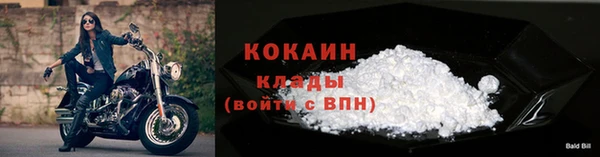 твердый Арсеньев